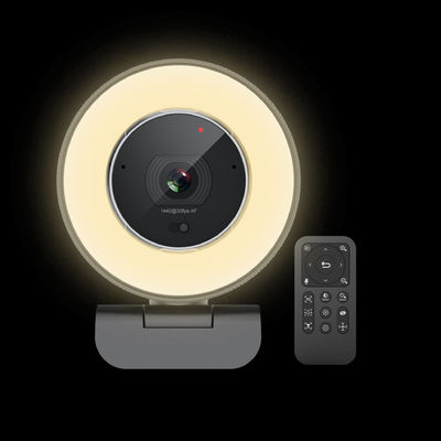 Αυτόματος υψηλός καθορισμός Webcam με χτισμένος στο ποσοστό πλαισίων μικροφώνων 30fps 60fps 2pcs