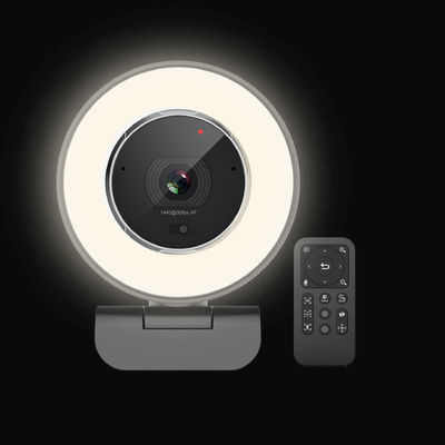 Αυτόματος υψηλός καθορισμός Webcam με χτισμένος στο ποσοστό πλαισίων μικροφώνων 30fps 60fps 2pcs